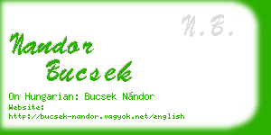 nandor bucsek business card