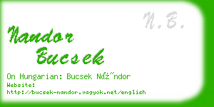 nandor bucsek business card
